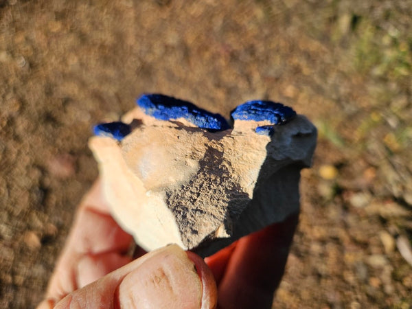 Azurite Sun  AZ171