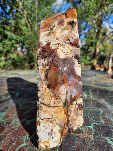 Polished Mookaite  MK550