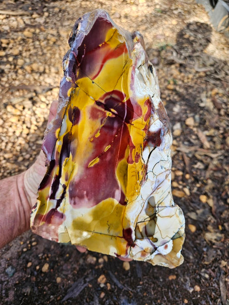 Polished Mookaite  MK550