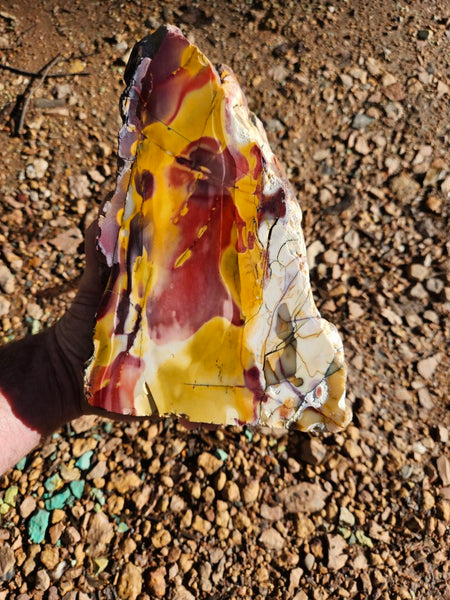 Polished Mookaite  MK550