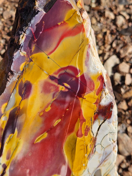 Polished Mookaite  MK550