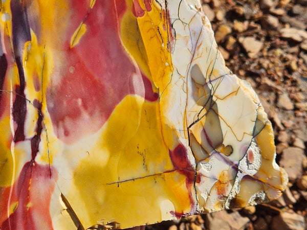 Polished Mookaite  MK550