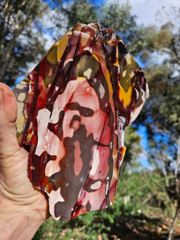 Polished Mookaite  MK549