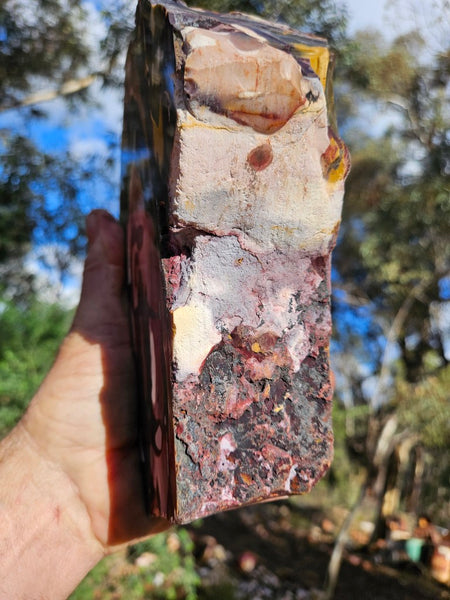 Polished Mookaite  MK549