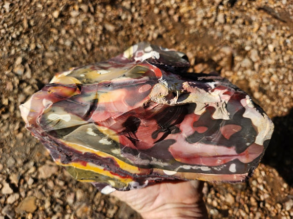 Polished Mookaite  MK549