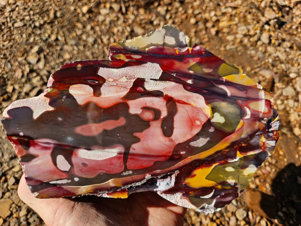 Polished Mookaite  MK549