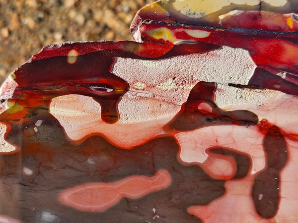 Polished Mookaite  MK549