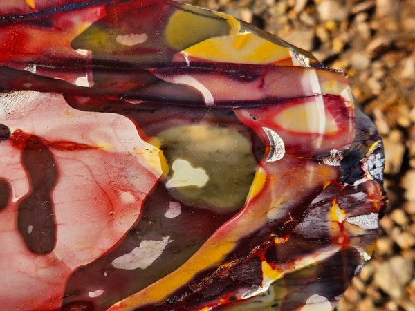 Polished Mookaite  MK549
