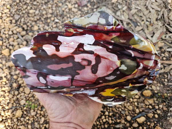 Polished Mookaite  MK549