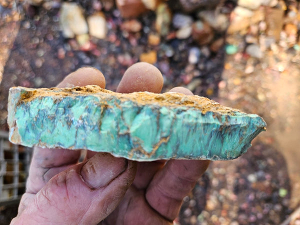 Variscite rough. VR585