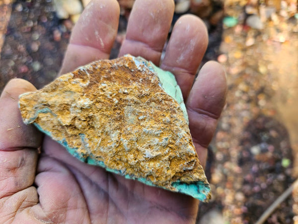 Variscite rough. VR585