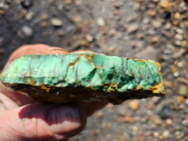 Variscite rough. VR585