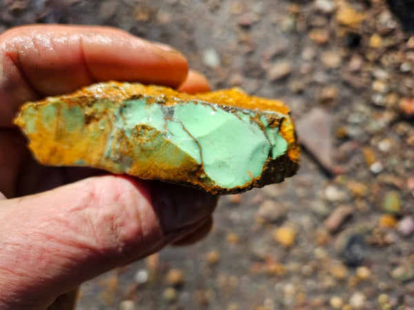 Variscite rough. VR585