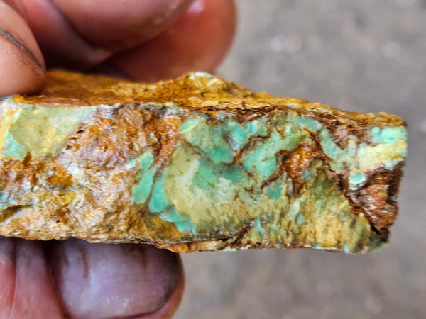 Variscite rough. VR585