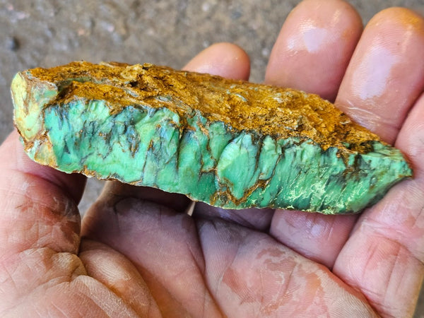 Variscite rough. VR585