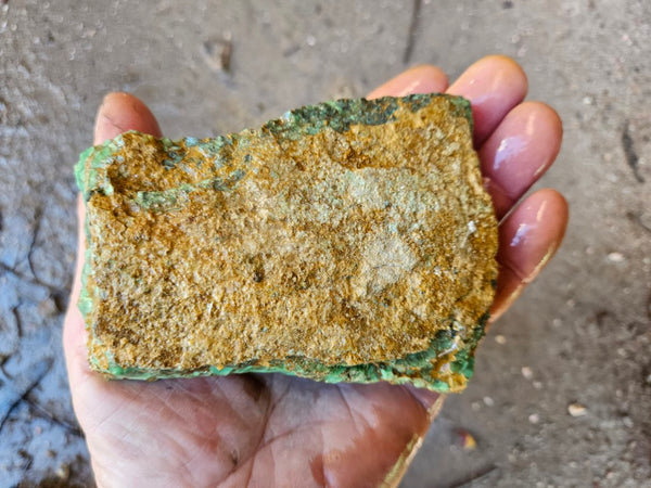 Variscite rough. VR586
