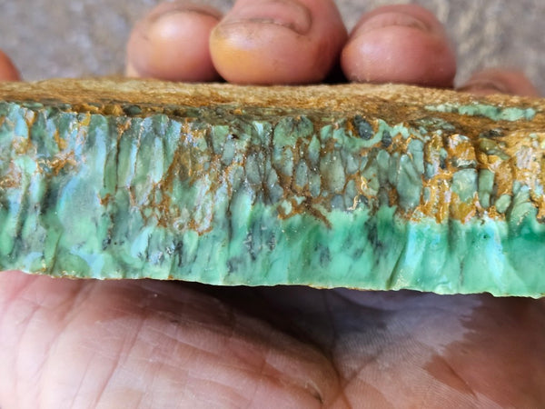 Variscite rough. VR586