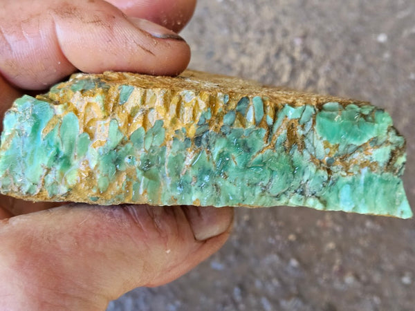 Variscite rough. VR586