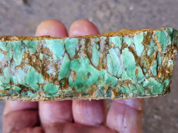 Variscite rough. VR586