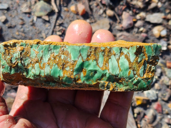 Variscite rough. VR586