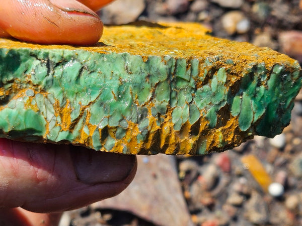Variscite rough. VR586
