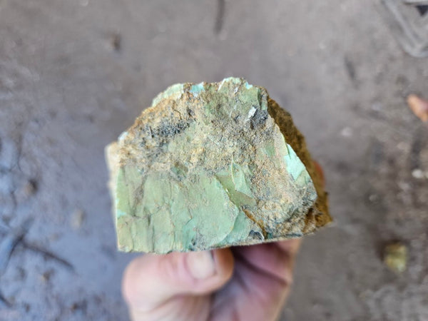 Variscite rough. VR587