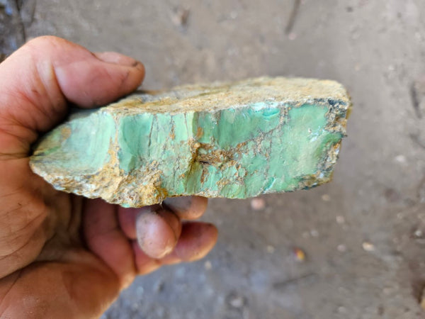 Variscite rough. VR587