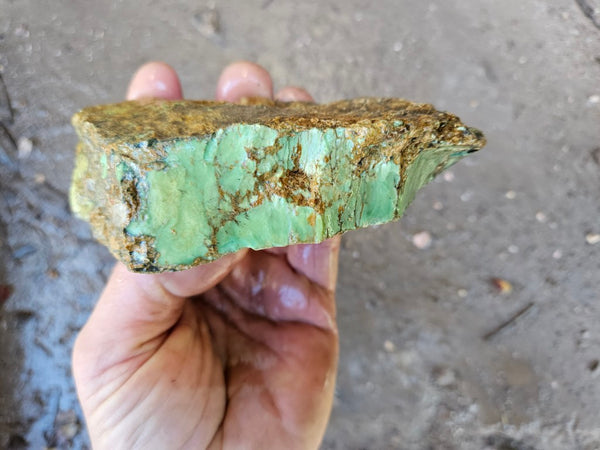 Variscite rough. VR587