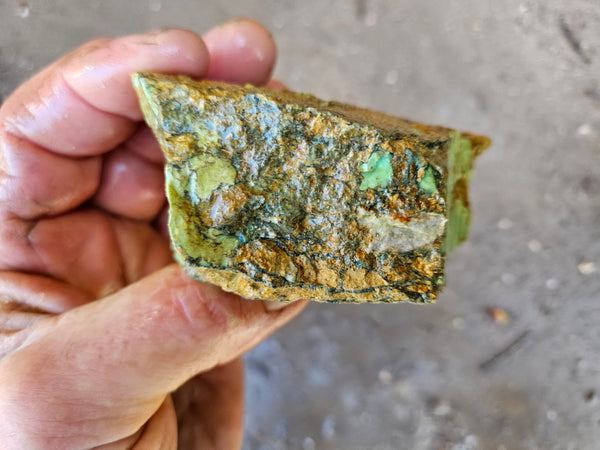 Variscite rough. VR587