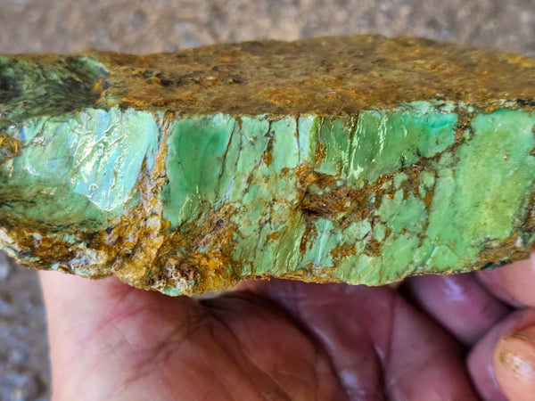 Variscite rough. VR587
