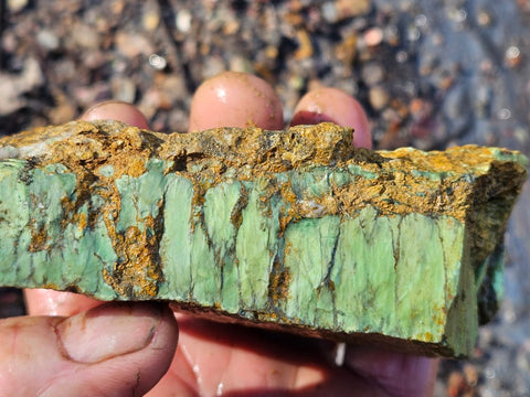 Variscite rough. VR587