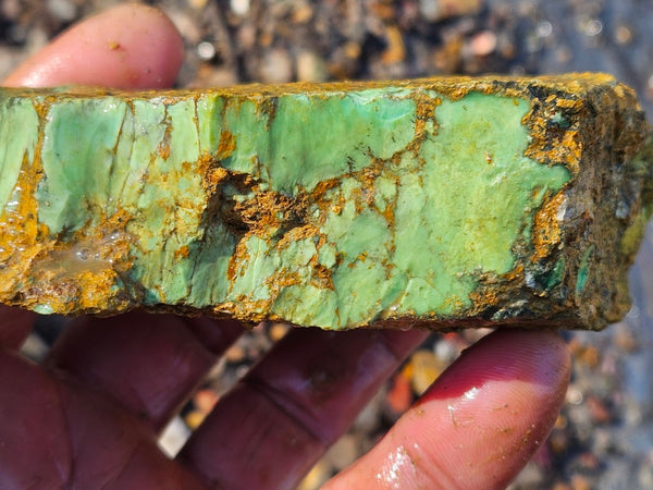 Variscite rough. VR587