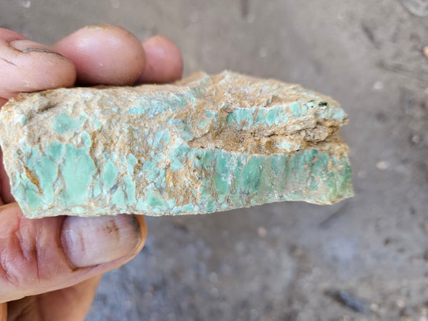 Variscite rough. VR588