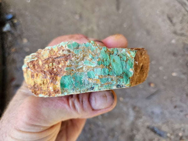 Variscite rough. VR588