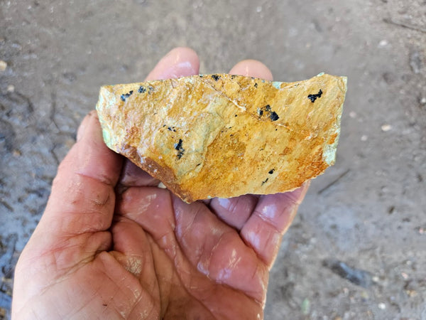 Variscite rough. VR588