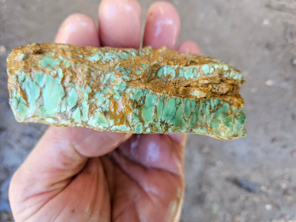 Variscite rough. VR588