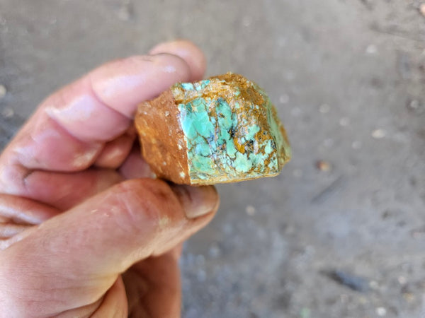 Variscite rough. VR588