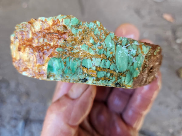 Variscite rough. VR588