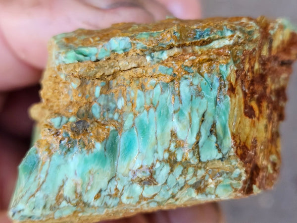Variscite rough. VR588