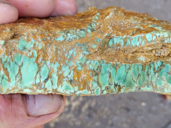 Variscite rough. VR588