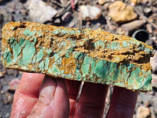 Variscite rough. VR588