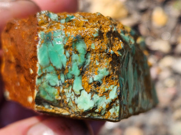 Variscite rough. VR588