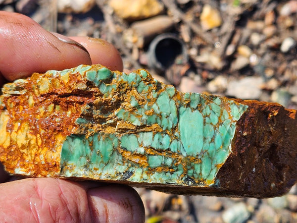 Variscite rough. VR588