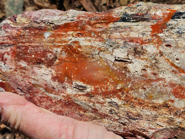Polished Killaloe Opal rock KO125