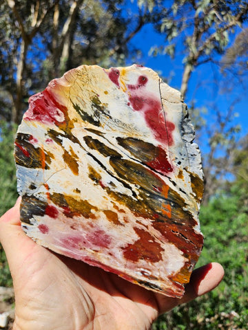 Polished Killaloe Opal rock KO123
