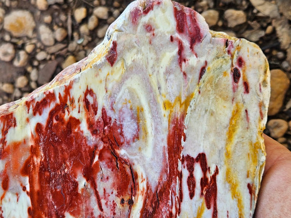 Polished Killaloe Opal slab KO124