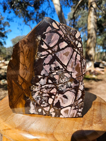 Polished Outback Jasper  OJ164