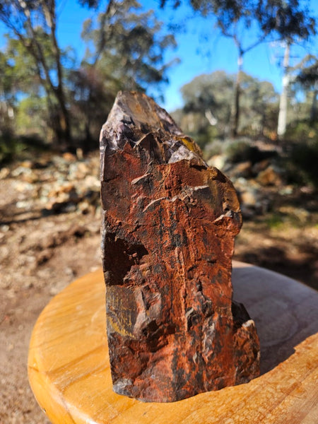 Polished Outback Jasper  OJ164