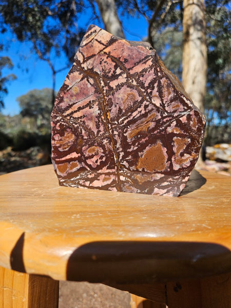 Polished Outback Jasper  OJ181