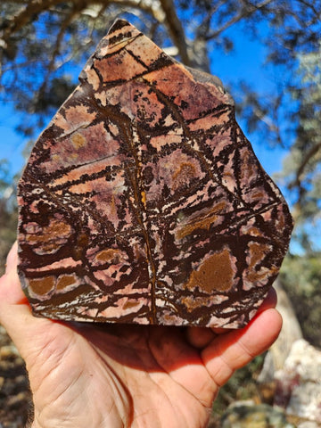 Polished Outback Jasper  OJ181